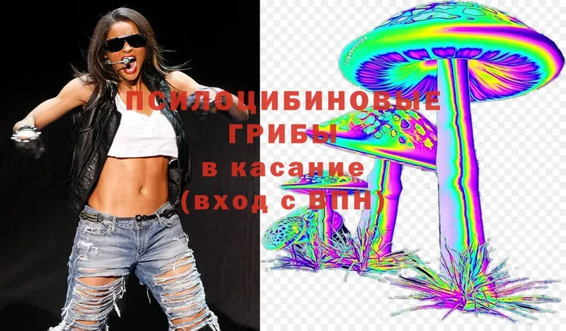 Псилоцибиновые грибы Magic Shrooms  ссылка на мегу онион  Аша  купить  цена 